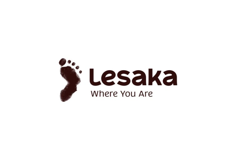Lesaka – System Support Agent