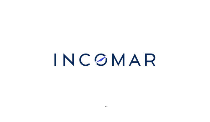 IT Support Specialist at INCOMAR